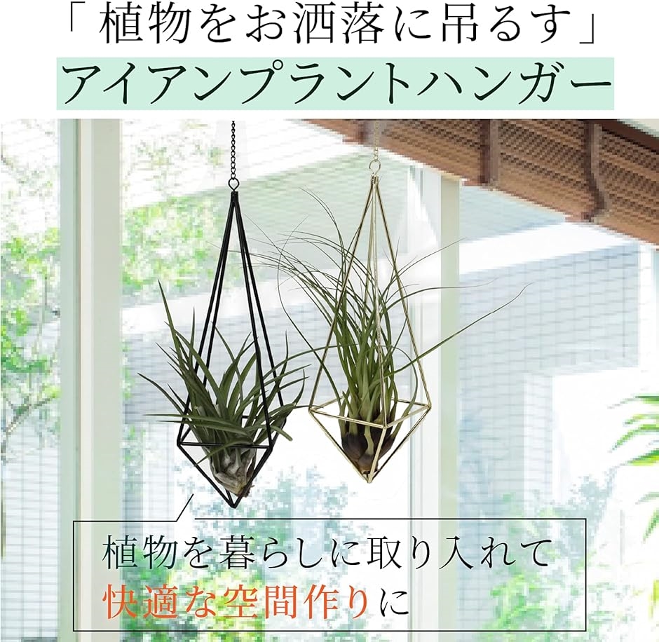 プラントハンガー アイアン エアプランツ 観葉植物鉢 吊るす 植物ホルダー ひし形( ひし形（四角形）／ゴールド(光沢)／幅8x高) :  2b46qwdi62 : スピード発送 ホリック - 通販 - Yahoo!ショッピング