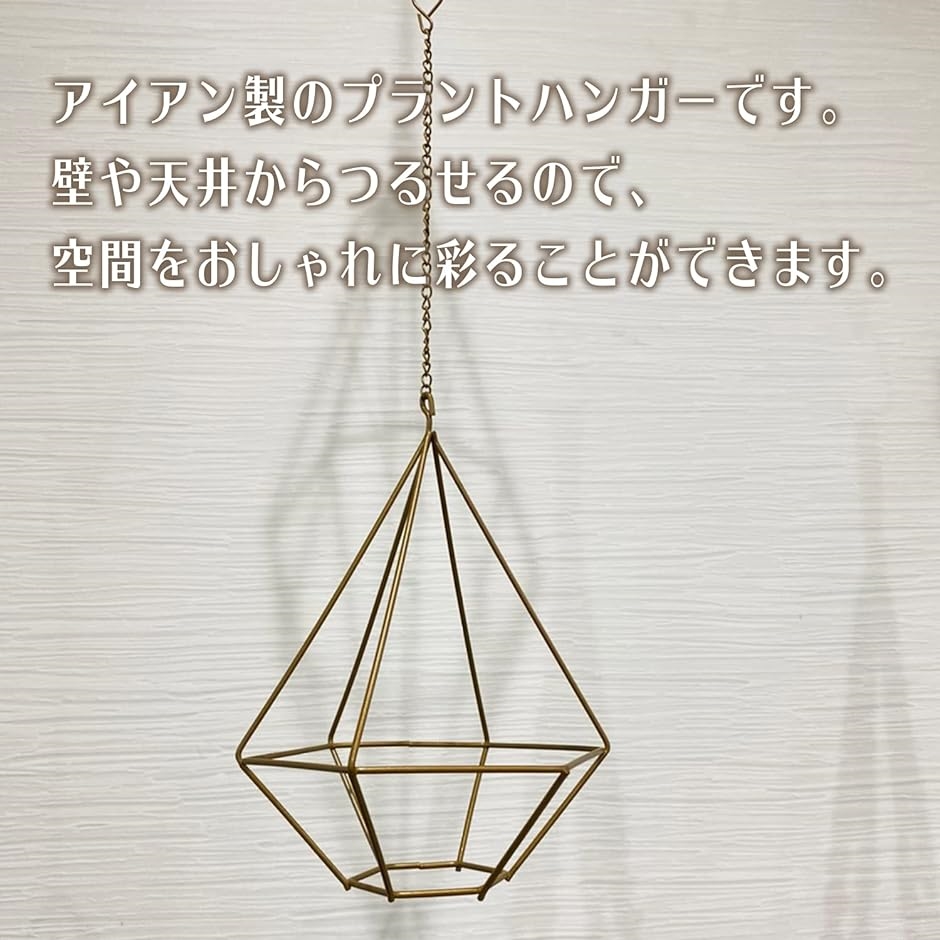 #エアープランツ　ベルゲリー大型クランプアイアンネット仕立て エアープランツ ベルゲリー大型クランプアイアンネット仕立て