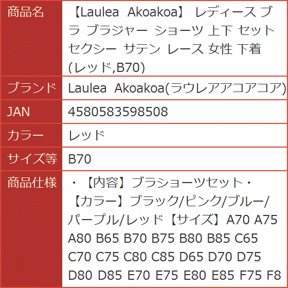 レディース ブラ ブラジャー ショーツ 上下 セット セクシー サテン レース 女性 下着( レッド,  B70)｜horikku｜10