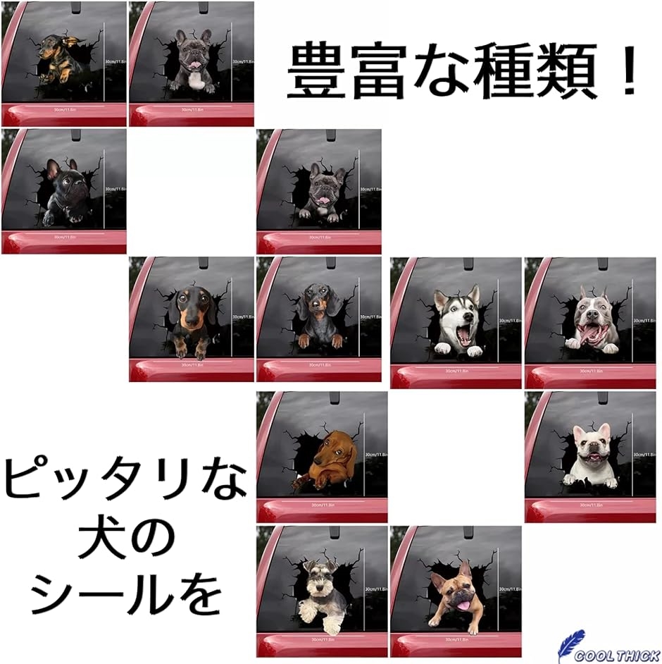 カーステッカー 車 トラック 犬 おもしろ 面白い 動物 ペット( A)｜horikku｜04