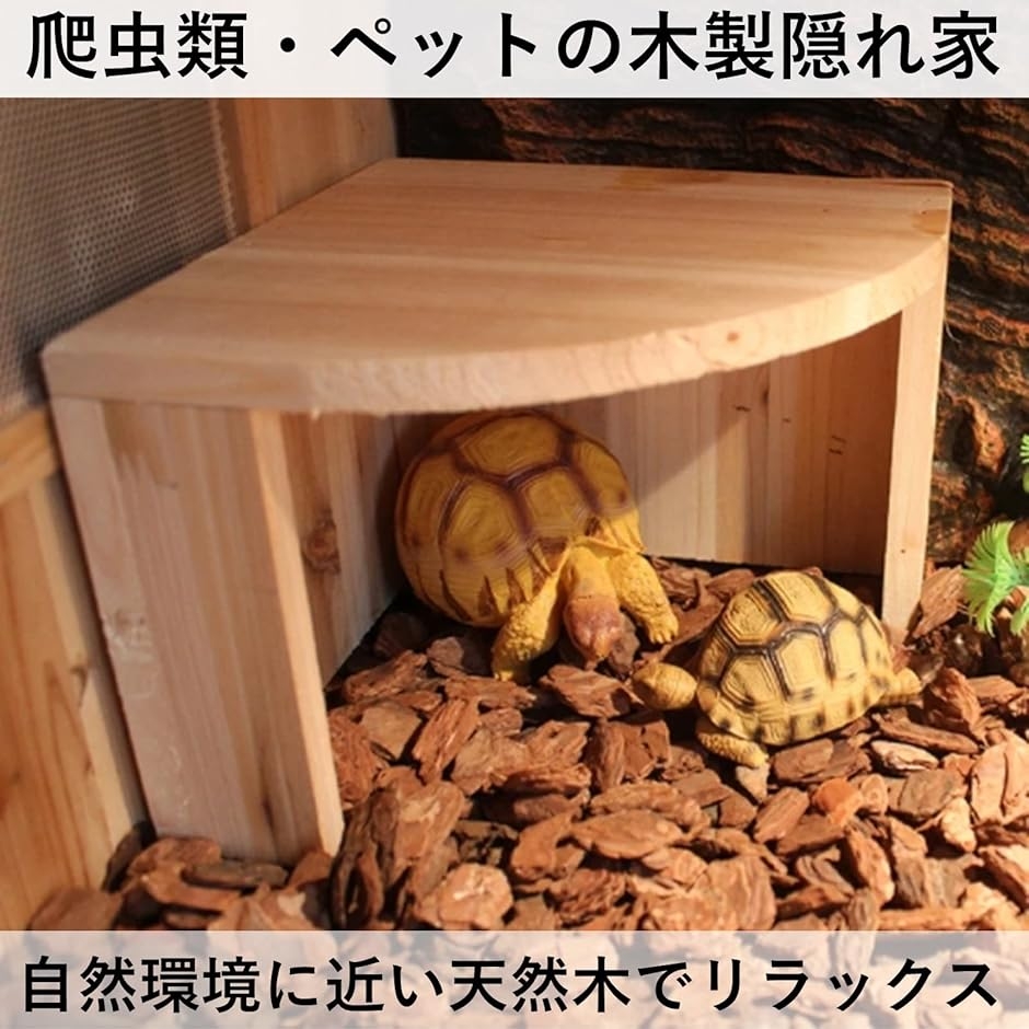 隠れ家 シェルター 爬虫類 (ナチュラル)の詳細画像2