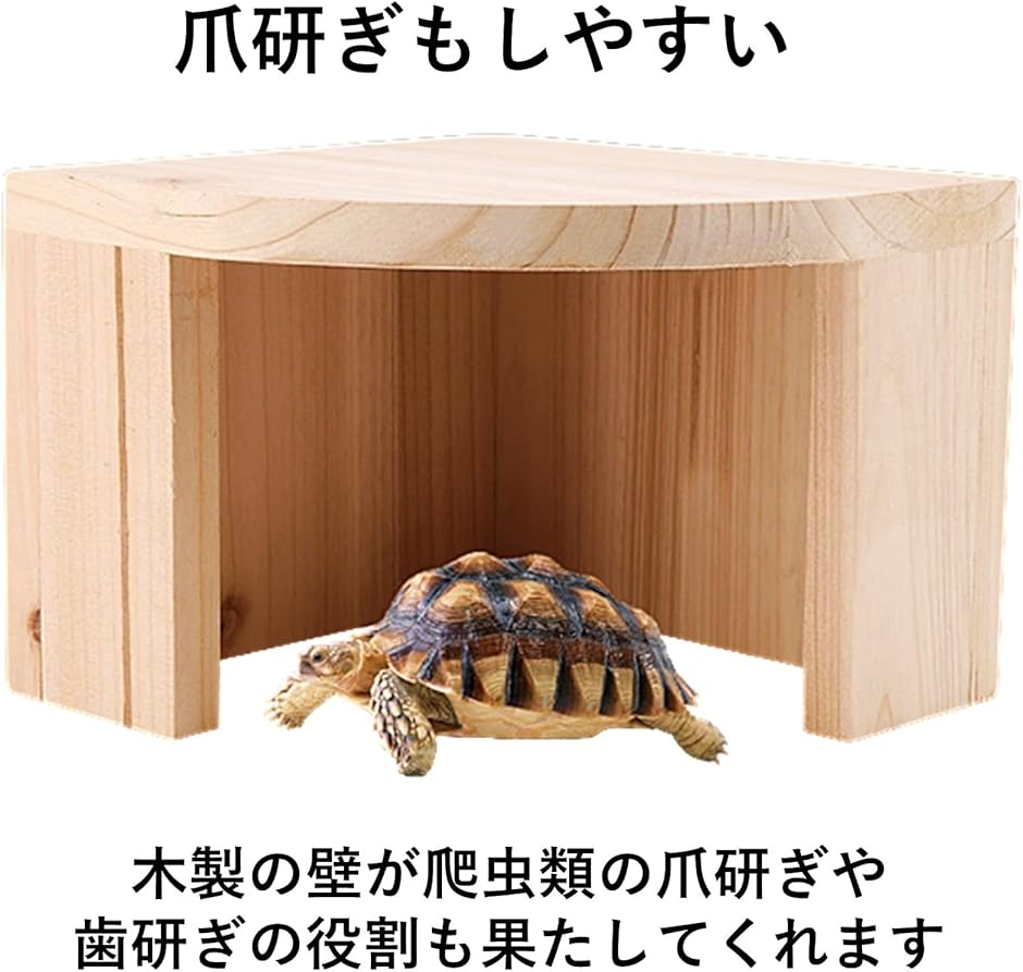 隠れ家 シェルター 爬虫類 (ナチュラル)の詳細画像4