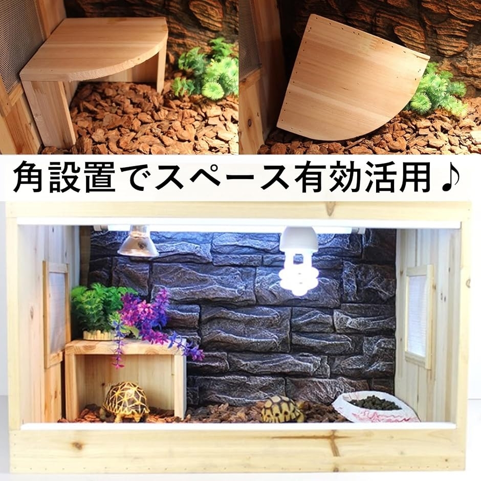 隠れ家 シェルター 爬虫類 (ナチュラル)の詳細画像5