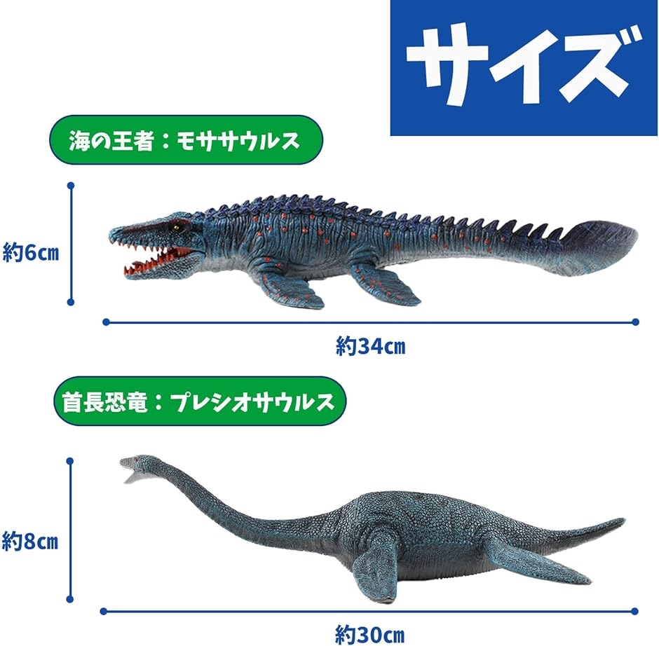 恐竜 おもちゃ セット 海 モササウルス プレシオサウルス リアル フィギュア 大きい 人形 置物｜horikku｜06