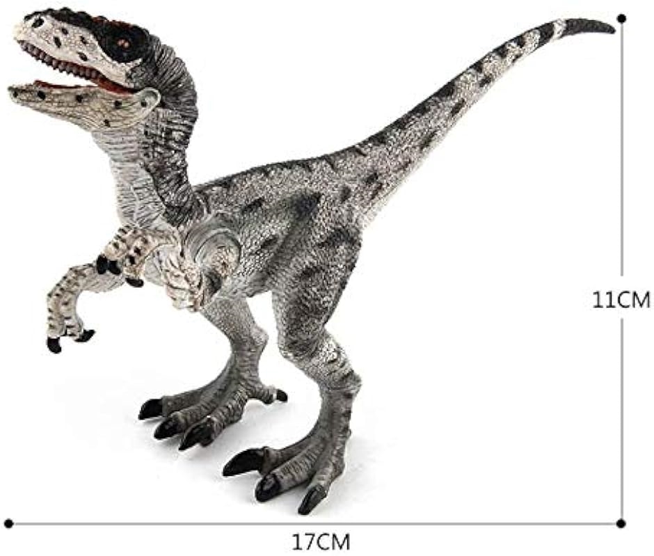 恐竜 フィギュア リアル 模型 ジュラ紀 30cm級 ディスプレイ ヴェロキラプトル｜horikku｜05