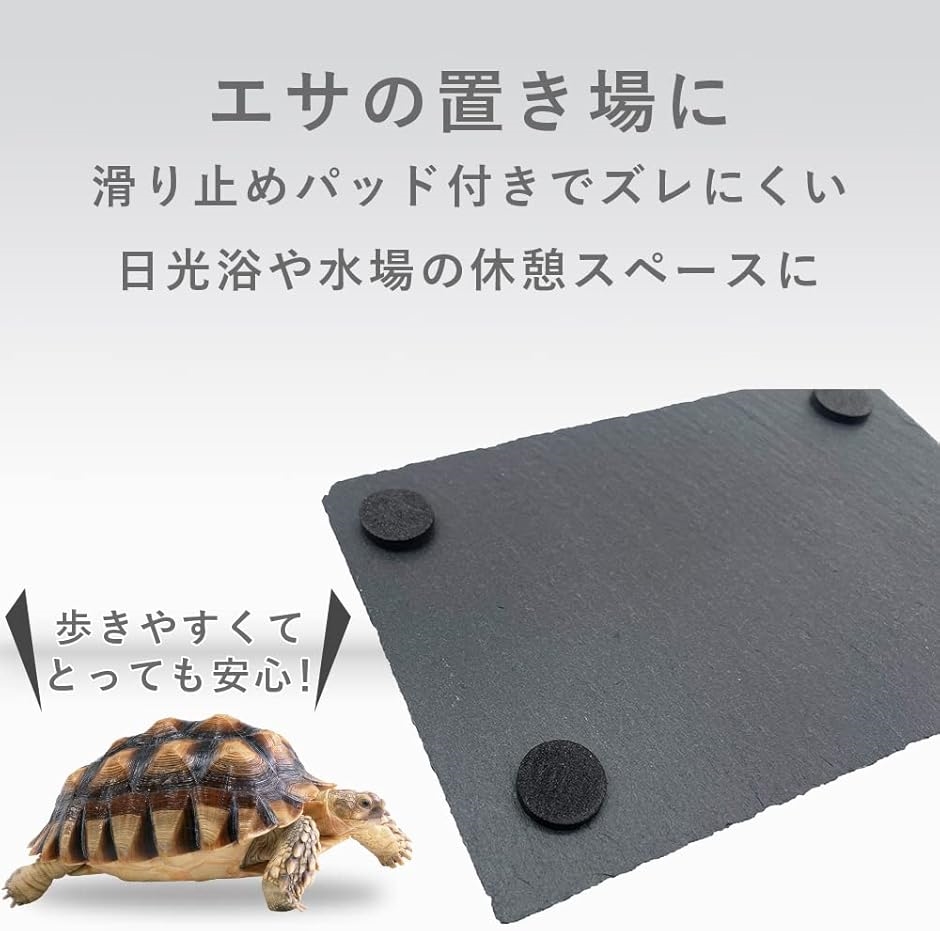 バックボード 爬虫類のおすすめ人気商品一覧 通販 - Yahoo!ショッピング