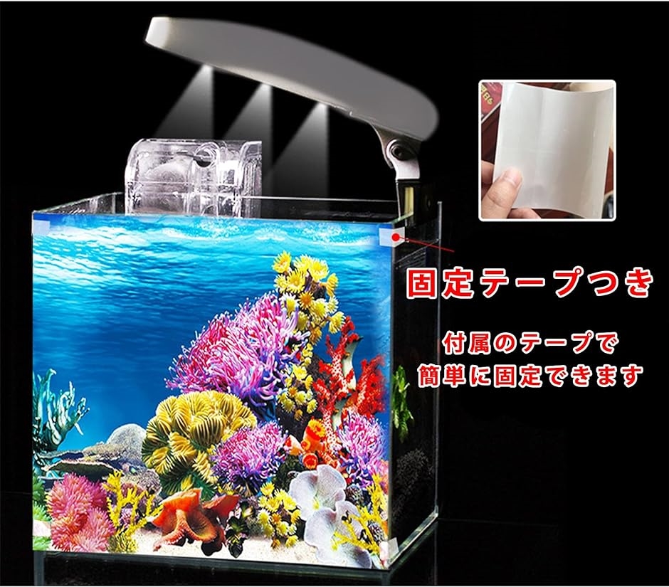 アクアリウム 水槽 魚タンク バックスクリーン 背景 水族館 水中 ポスター 装飾 外観 バックグラウンド Mdm 50xcm 2b4itqwgds スピード発送 ホリック 通販 Yahoo ショッピング