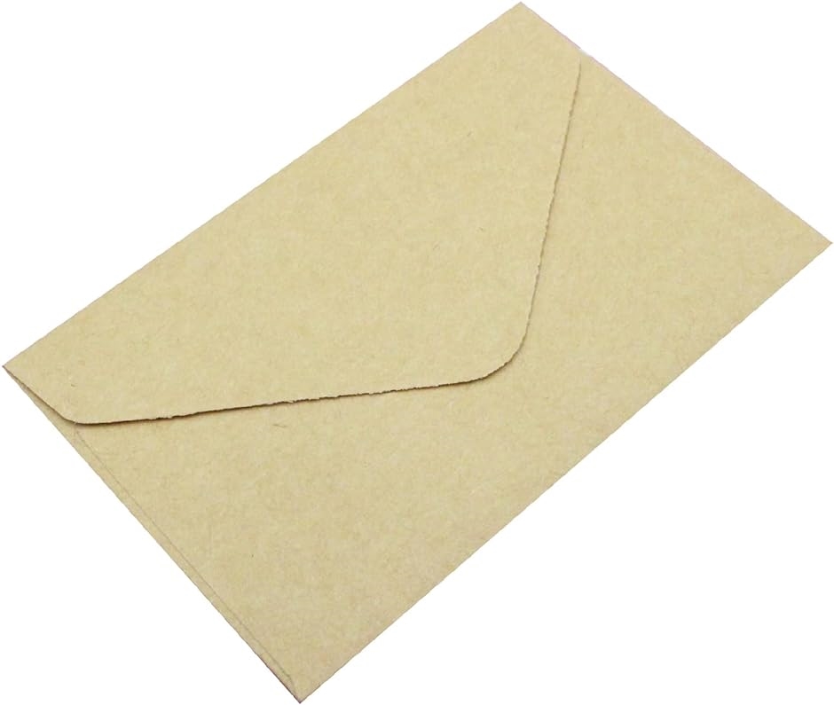 名刺 封筒 メッセージカード ミニ封筒 収納袋 茶 100枚セット( 茶 100枚セット)｜horikku