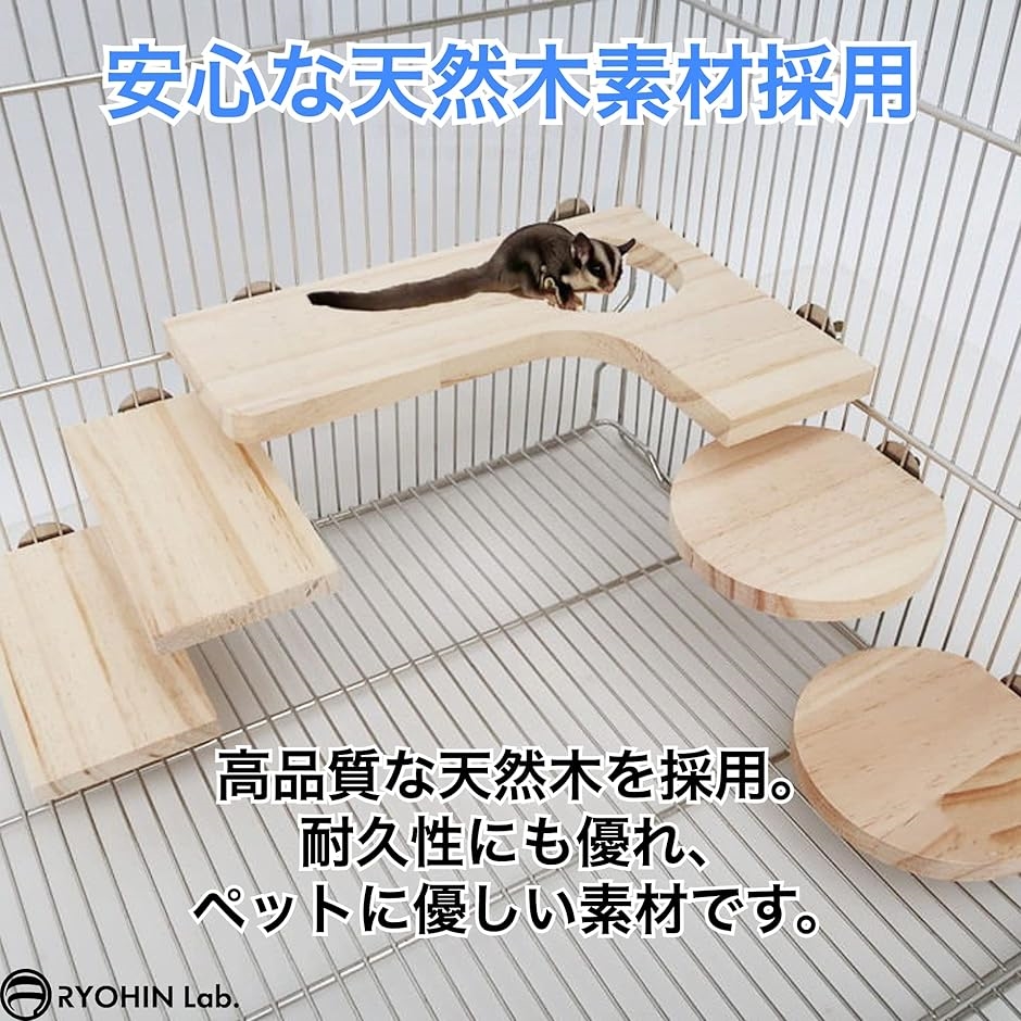 シマリス 飼育セット シマリス飼育セットのおすすめ人気商品一覧 通販 - Yahoo