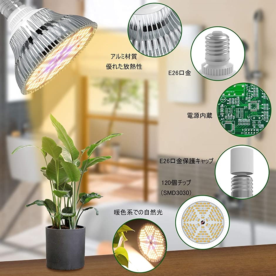 LED植物育成ライト 80W E26口金 フルスペクトラム 植物育成用ランプ 2個(暖, 2個) :2B4LVY5225:スピード発送 ホリック -  通販 - Yahoo!ショッピング