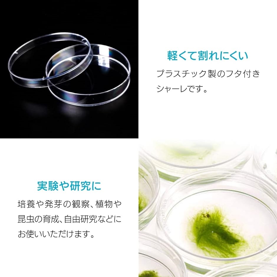 最新入荷 スピード発送 ホリックシャーレ プラスチック 蓋付き 実験用品 使い捨て 個セット 35 Mm Www Akg Sa 最新入荷 スピード発送 ホリックシャーレ プラスチック 蓋付き 実験用品 使い捨て 個セット 35 Mm Www Akg Sa