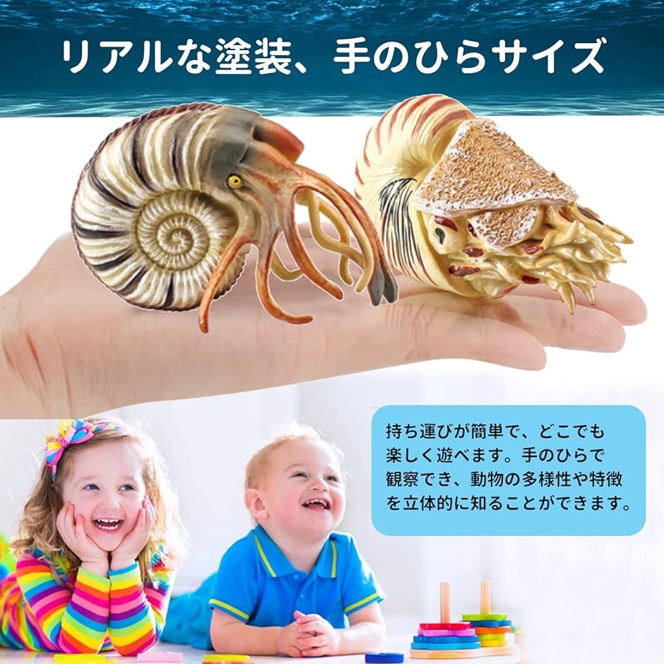 オウムガイ フィギュア アンモナイト 貝殻 おもちゃ 6＋ オウムガイ＋アンモナイト｜horikku｜03