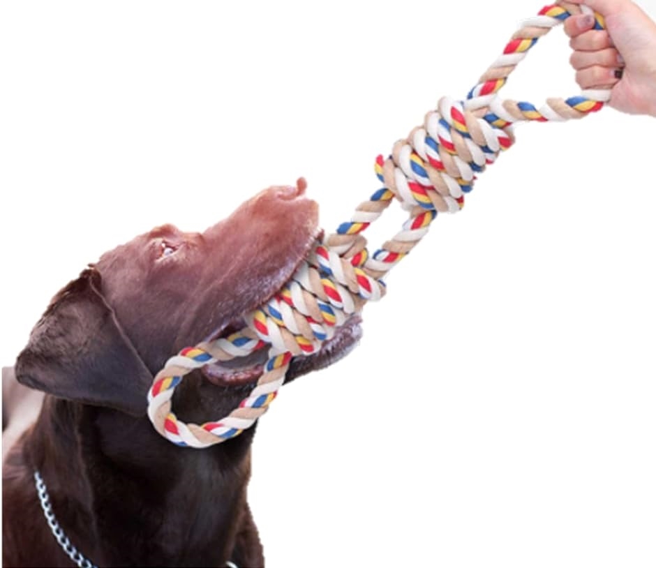 Bluestarz13923 犬おもちゃ 中型犬 大型犬用 犬ロープおもちゃ 犬用噛むおもちゃ玩( マルチカラーロープ)｜horikku