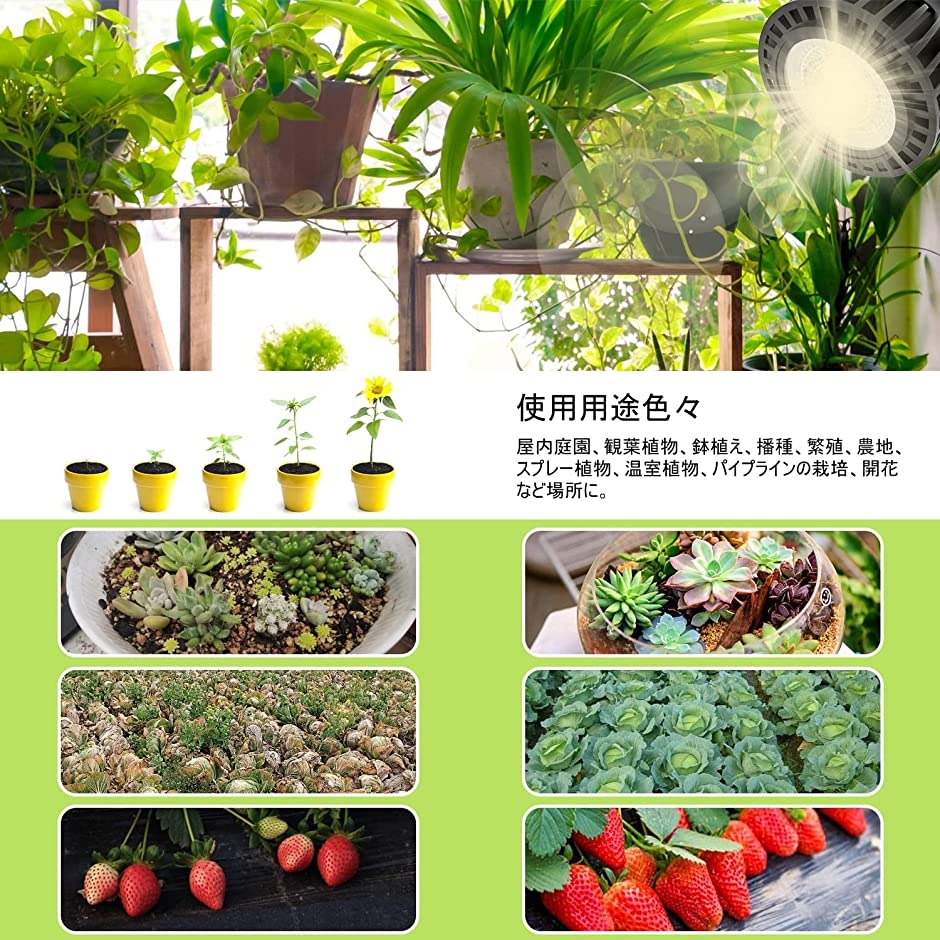 LED植物育成ライト 100W相当 太陽のような自然光 COBチップ 22858umol/m2/s( 自然光)