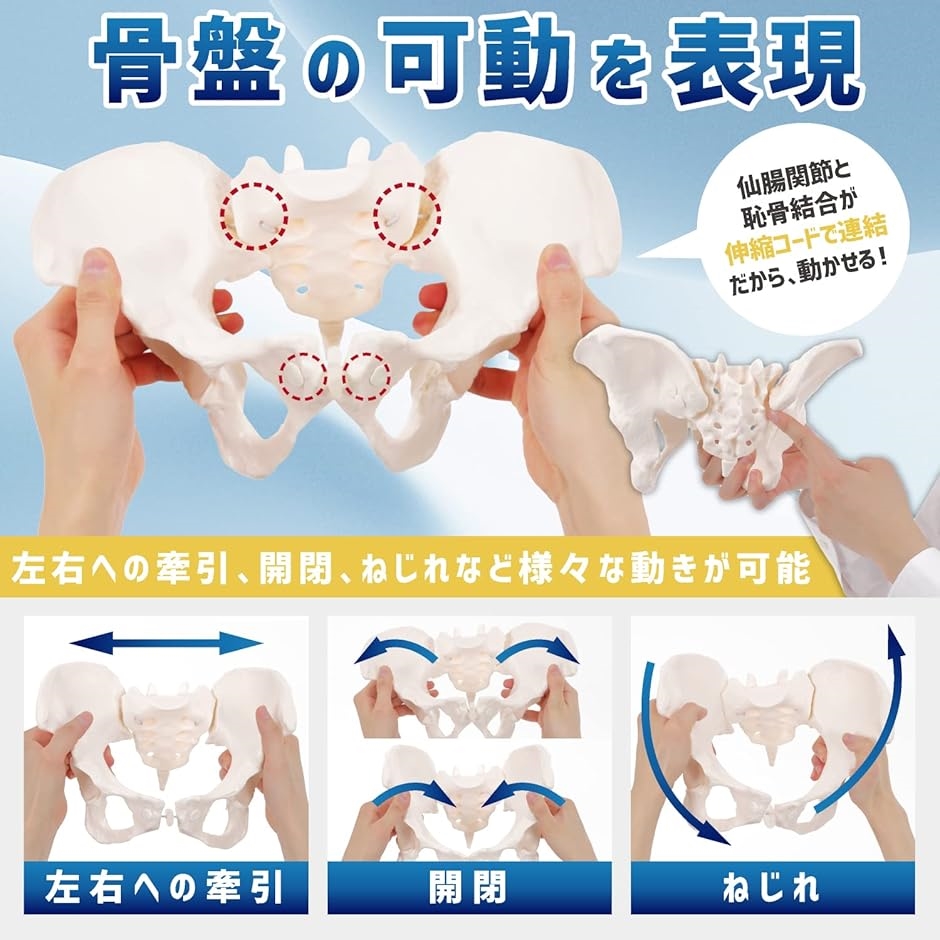 動く骨格 DVDセット 3枚 動く骨格 DVDセット 3枚 Amazon.co.jp: 1.1 inch (27 mm) Thick
