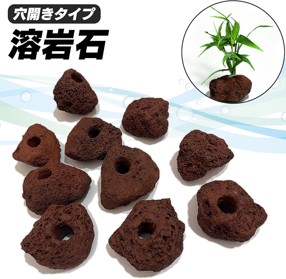 溶岩 石 火山 水槽 穴あき オブジェ 10個 セット アクアリウム 飾り