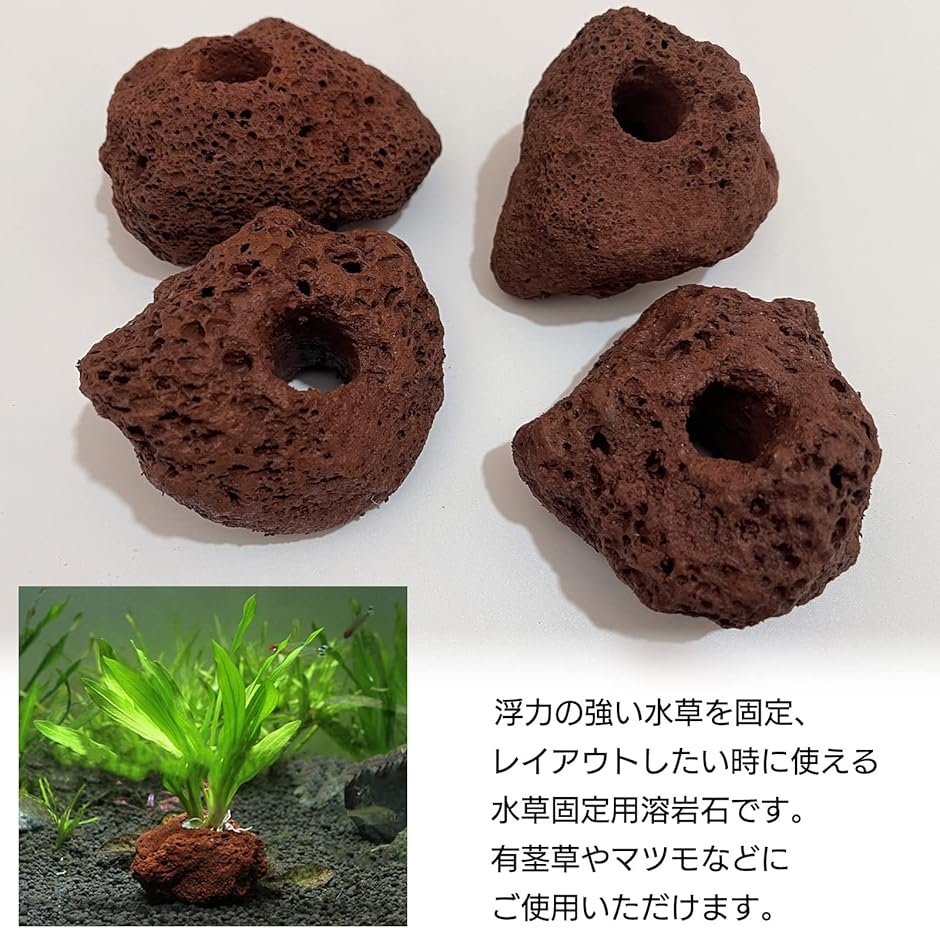 溶岩 石 火山 水槽 穴あき オブジェ 10個 セット アクアリウム 飾り