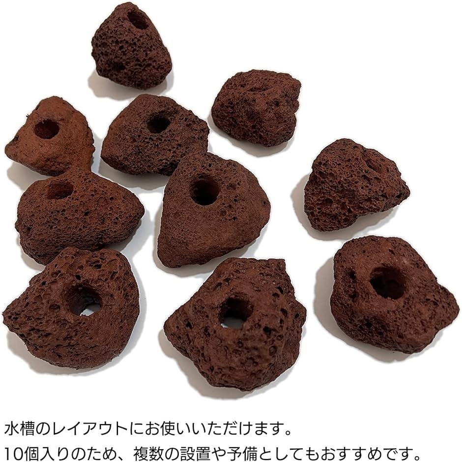 溶岩 石 火山 水槽 穴あき オブジェ 10個 セット アクアリウム 飾り