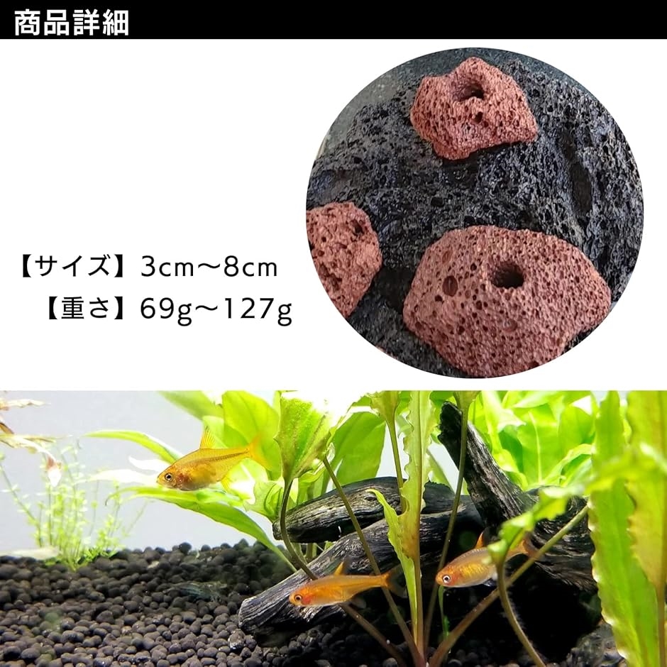 溶岩 石 火山 水槽 穴あき オブジェ 10個 セット アクアリウム 飾り