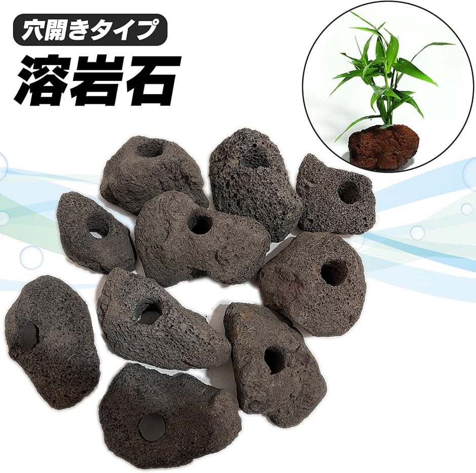溶岩 石 火山 水槽 穴あき オブジェ 10個 セット アクアリウム 飾り