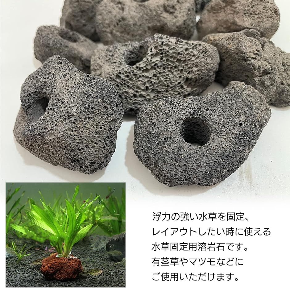 溶岩 石 火山 水槽 穴あき オブジェ 10個 セット アクアリウム 飾り