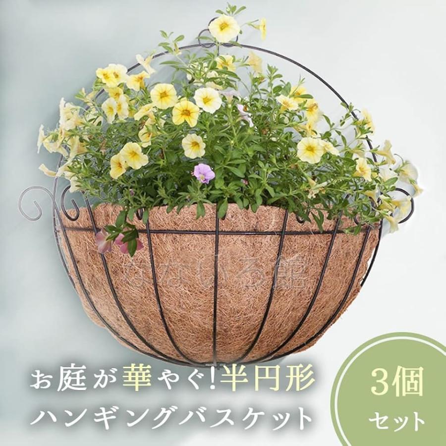 半円形 ハンギングバスケット 3個セット 寄せ植え プランター 壁掛け 屋外 フェンス 花 植物 ガーデニング 横幅34cm 2b4qdnqq2l スピード発送 ホリック 通販 Yahoo ショッピング 半円形 ハンギングバスケット 3個セット 寄せ植え プランター 壁掛け 屋外 フェンス 花 植物 ガーデニング 横幅34cm 2b4qdnqq2l スピード発送 ホリック 通販 Yahoo ショッピング