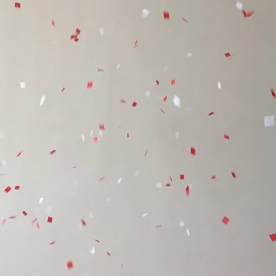 プロマジシャン用 紅白 赤白セット 紙吹雪 パーティー ストーム 約26.5g 約12628枚 お祝い( 紅白（赤2・白2）)｜horikku｜03