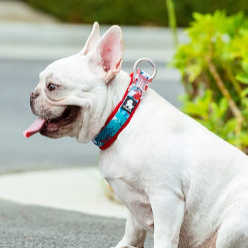 犬 首輪 犬の首輪 ナイロン製 通気性 弾力性 ソフト 調節可能 犬用品