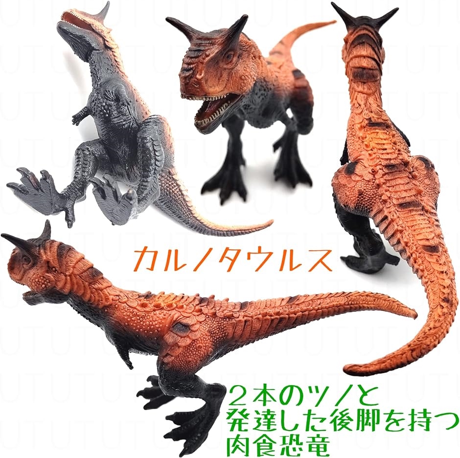 恐竜 おもちゃ フィギュア カルノタウルス きょうりゅう 人形 カルノサウルス＋アンキロサウルス