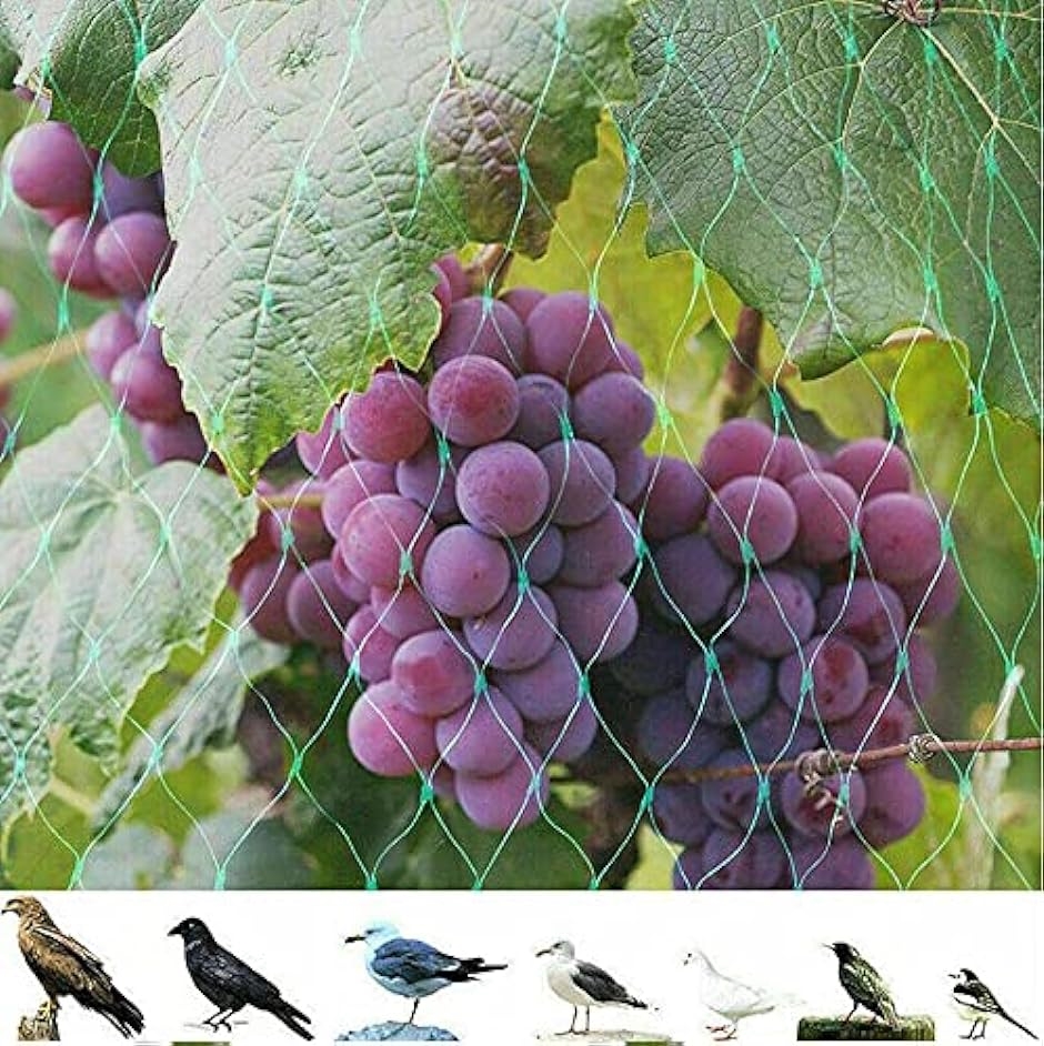 鳥よけ 防鳥 園芸 ネット 農業 果樹 網 カラスよけ 伸縮性ある 幅5mx長さ20m MDM( グリーン,  幅5mx長さ20m)｜horikku｜07