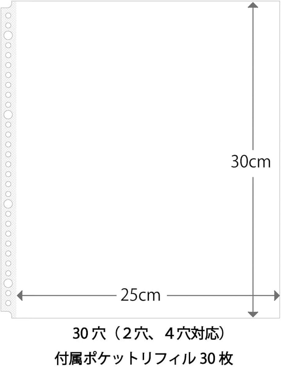 コンビニ受取対応商品】 二冊セット クリアファイル A4 2穴 kead.al