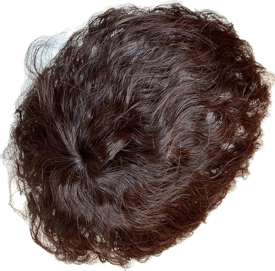 部分ウィッグ ヘアピース メンズ レディース カール ウェーブ カバー