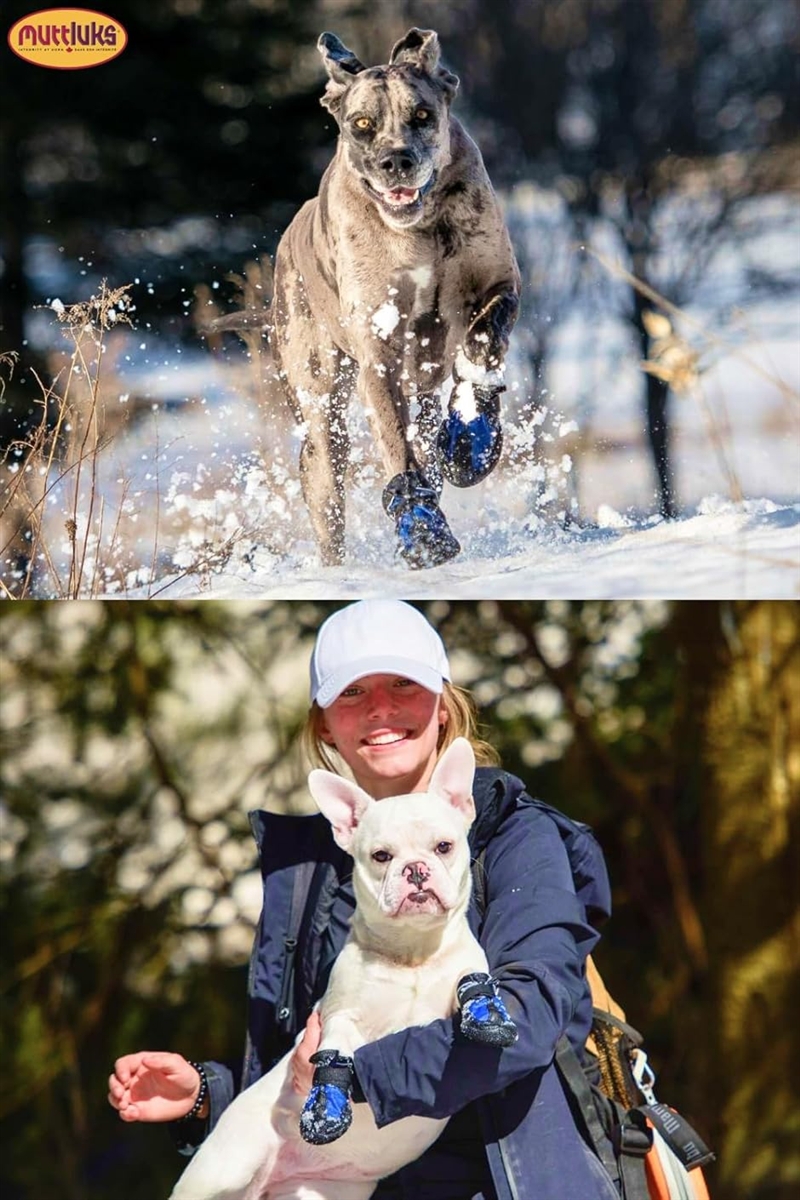 スノーマッシャーズ 犬 靴 冬用 脱げない 履かせやすい 雪や冷えから足