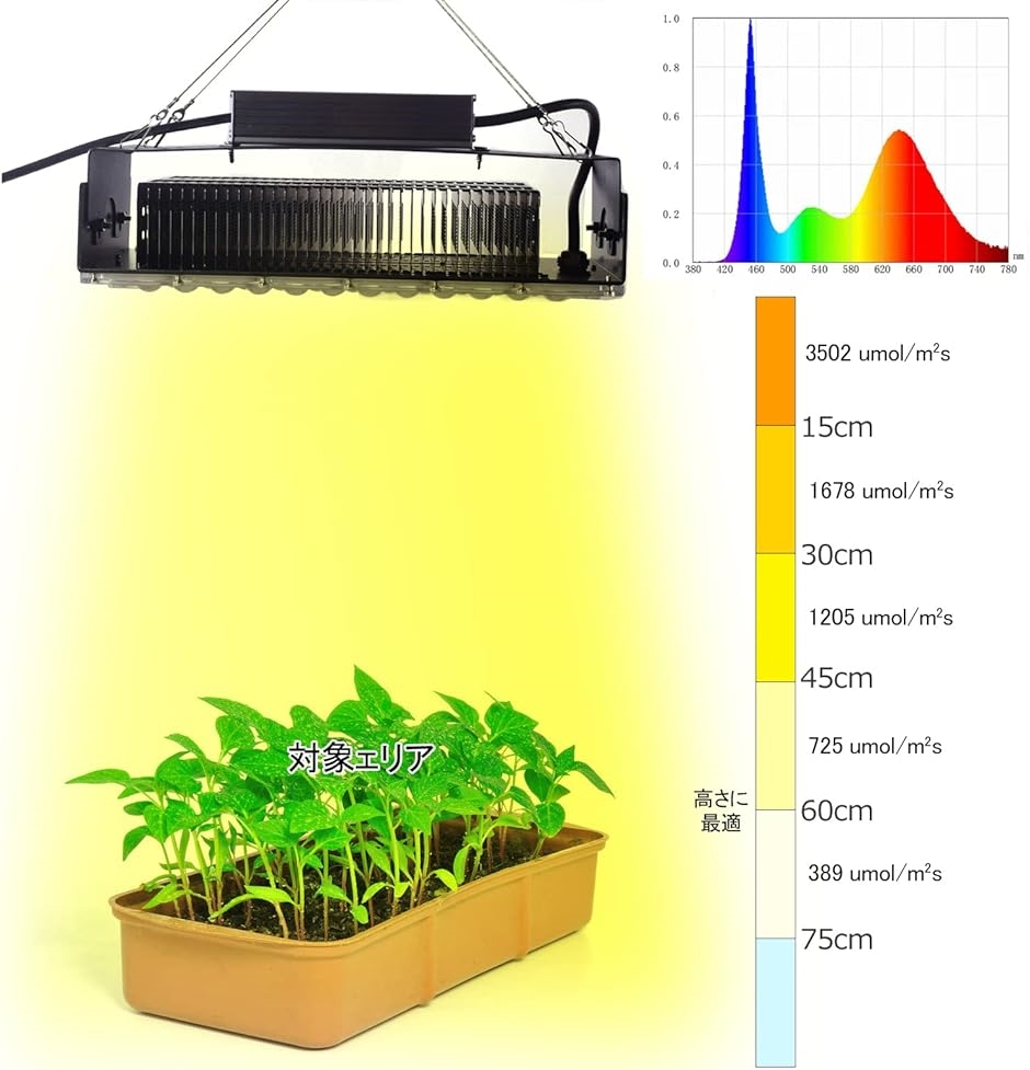 植物育成栽培LED grow light グロウライト100w - 通販 - guianegro.com.br