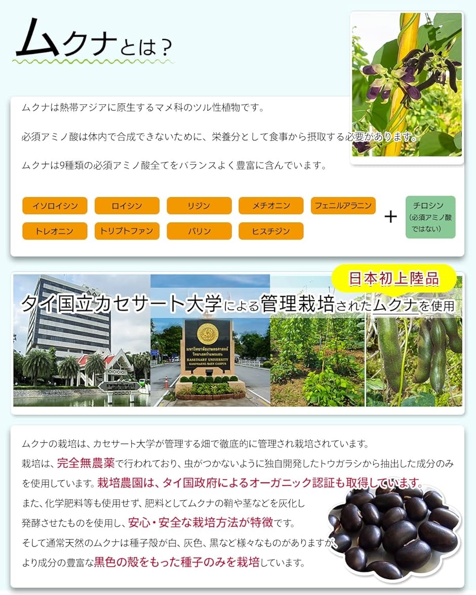 サプリ専門家監修超集中 ドーパミン高配合 ムクナ豆6000mg GABA ホスファチジルセリン イチョウ葉(90粒 (x 1)) | ブランド登録なし | 03