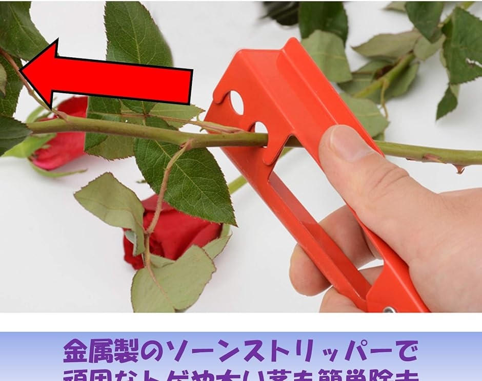バラ とげ取り 刺抜き 薔薇 ローズ ガーデニング 剪定 花束 作業 | ブランド登録なし | 02