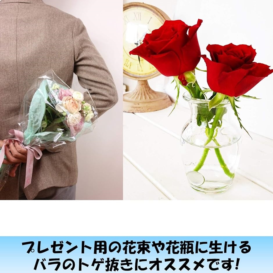 バラ とげ取り 刺抜き 薔薇 ローズ ガーデニング 剪定 花束 作業 | ブランド登録なし | 04