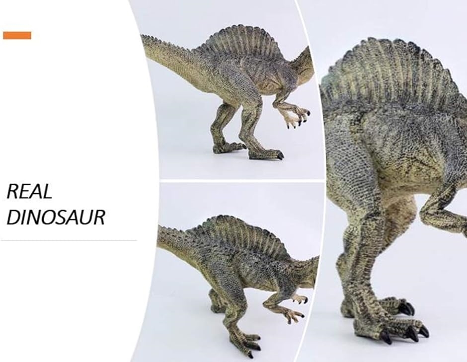 ウィスアイランド 大迫力 リアル ダイナソー 恐竜 怪獣 フィギュア スピノサウルス｜horikku｜04