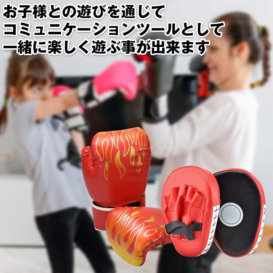AINetJP ボクシングセット グローブ＆ミット スパーリング
