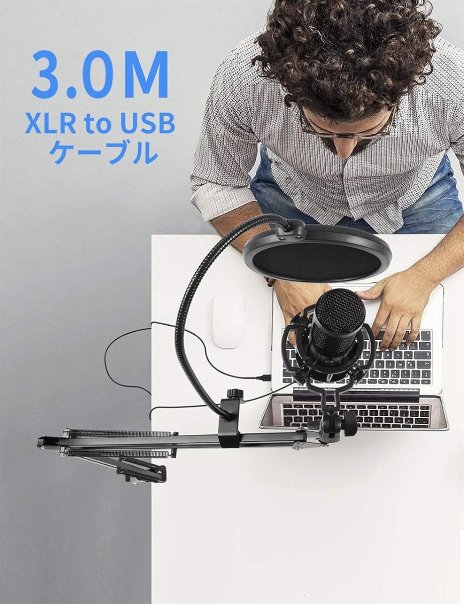 AnXX コンデンサーマイク USB XLR PC エコー機能付き 単一指向性