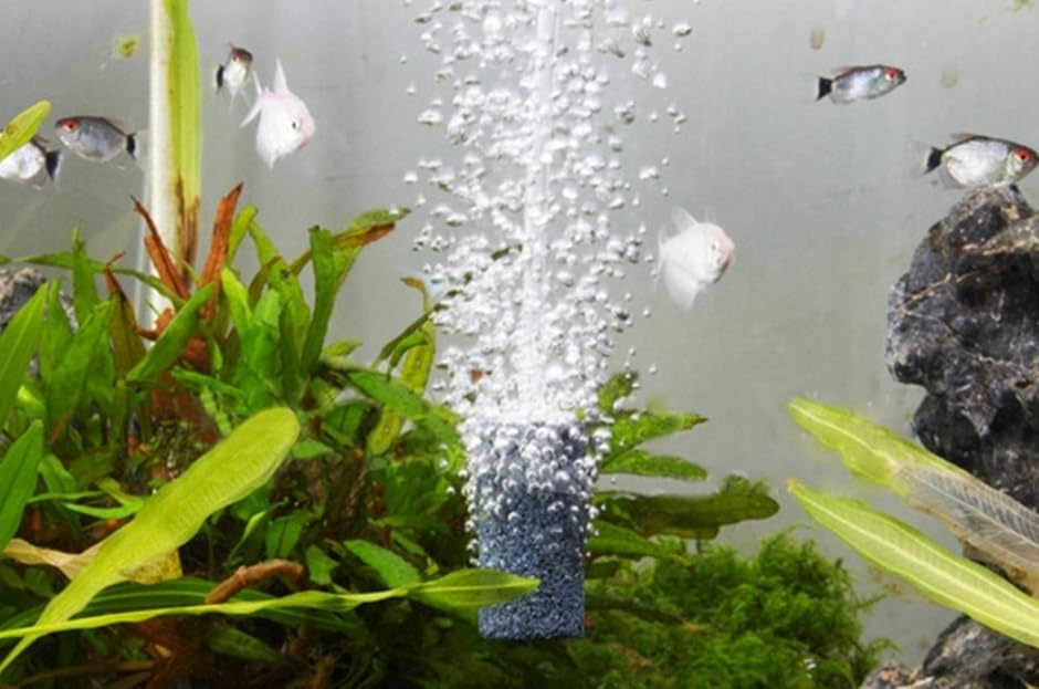 水槽用 エアストーン 50個セット 円筒 気泡 酸素 ディフューザー アクアリウム エアーポンプ 15mmx25mm 2b61r6uqps スピード発送 ホリック 通販 Yahoo ショッピング 水槽用 エアストーン 50個セット 円筒 気泡 酸素 ディフューザー アクアリウム エアーポンプ 15mmx25mm 2b61r6uqps スピード発送 ホリック 通販 Yahoo ショッピング