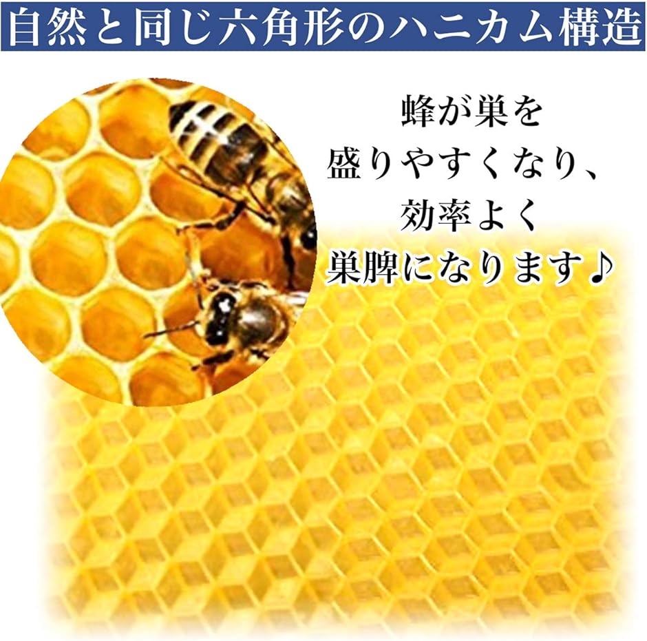 蜂の巣 蜜蜂 ミツバチ用 飼育 シート 巣礎 養蜂 ハニカム 蜜蝋 採蜜 天然( 黄色,  M)｜horikku｜02