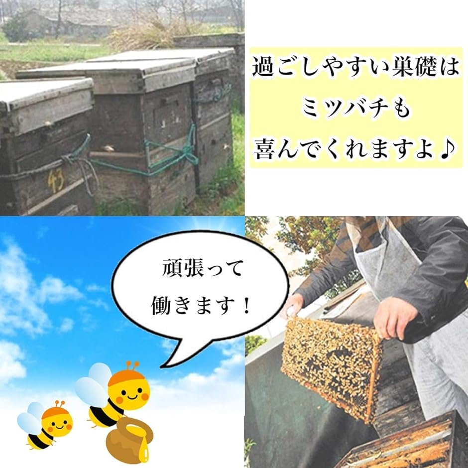 蜂の巣 蜜蜂 ミツバチ用 飼育 シート 巣礎 養蜂 ハニカム 蜜蝋 採蜜 天然( 黄色,  M)｜horikku｜04