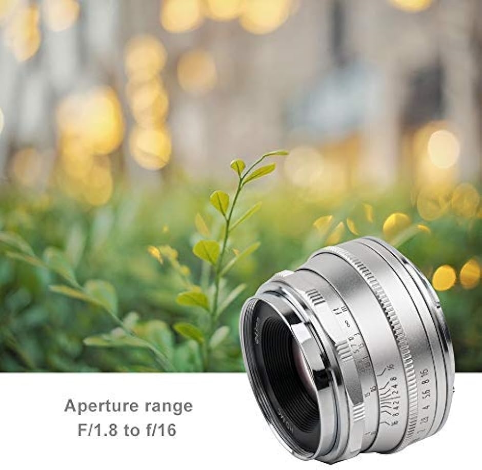 25mm F1.8 交換レンズ オリンパスとパナソニック用 マイクロフォーサーズ 交換用レンズ f1.8-f16 明るい ボケ味( ?) :  2b65pnpsrs : スピード発送 ホリック - 通販 - Yahoo!ショッピング