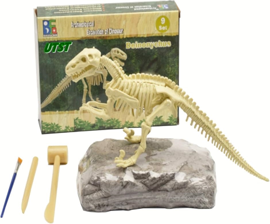 木彫　恐竜　バンビラプトル　頭骨模型実物大12cm 木彫 恐竜 バンビラプトル 頭骨模型実物大12cm 木彫 恐竜 バンビ