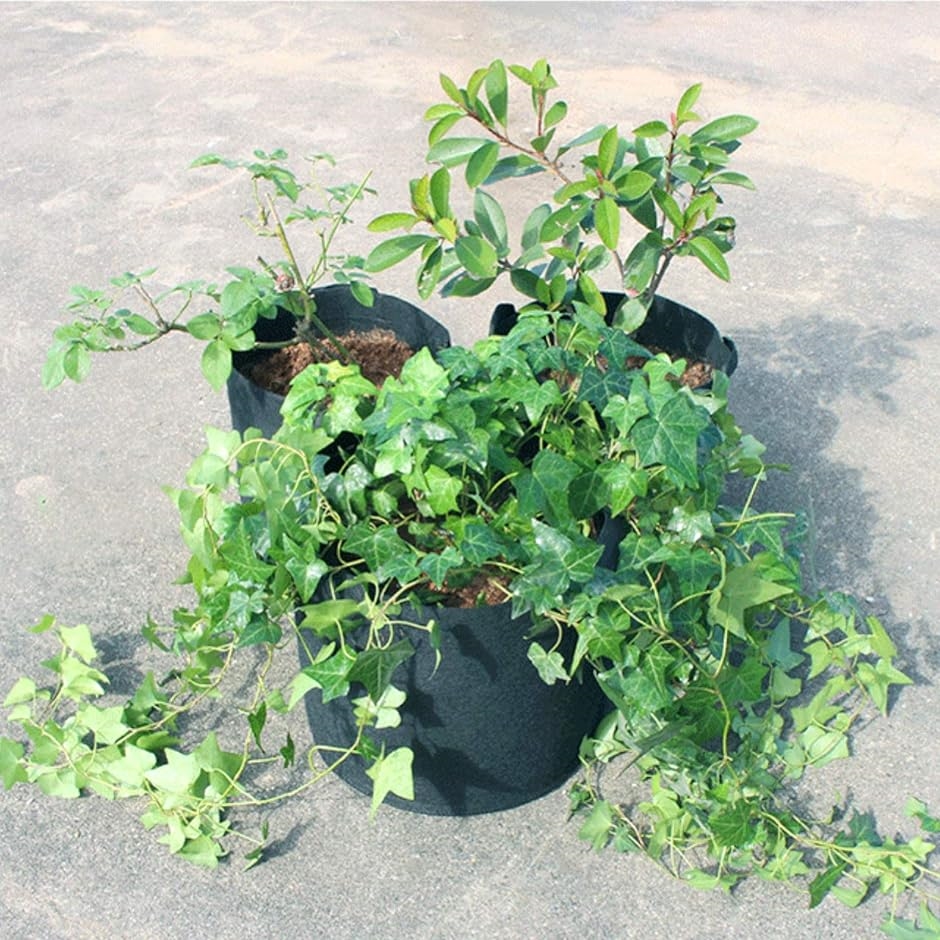 植木鉢 ガーデンバッグ 不織布 プランター 大型 プラスチック 1ガロン 5個セット( 黒１)｜horikku｜06