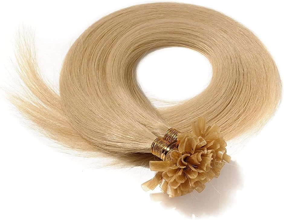 人毛 NAIL U TIP チップエクステ レミーエクステ カラー ウィッグ