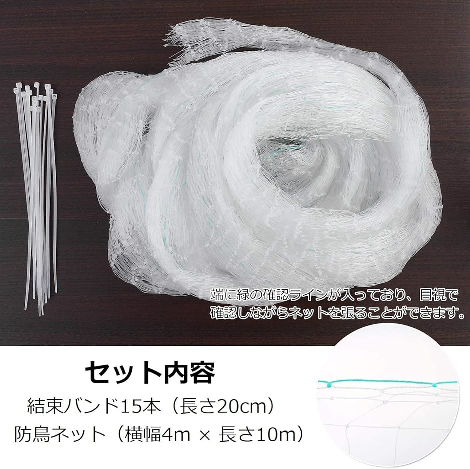 net226x5.jpg