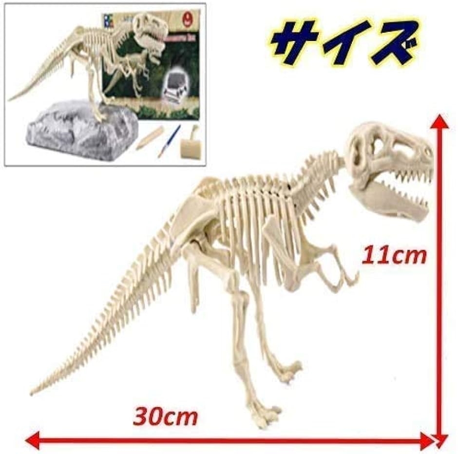 恐竜 化石発掘キット おもちゃ 発見学習セット ディプロドクス｜horikku｜04