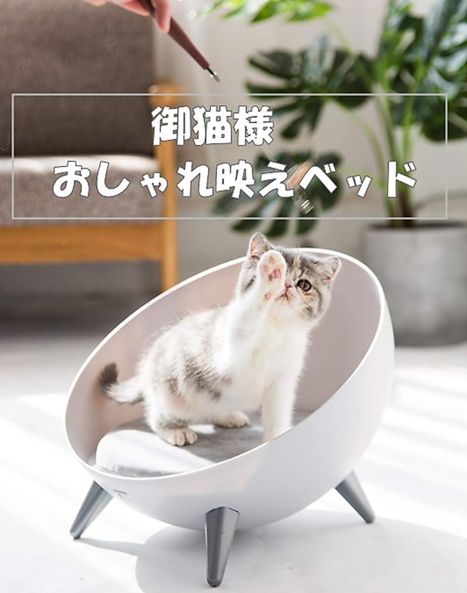 53%OFF!】【53%OFF!】ぐれねこ様専用 健康 | blog.connectparts.com.br